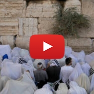 priestly blessing at western wall