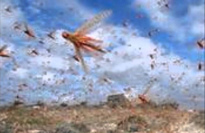 10 plagues