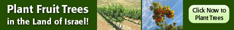 plant_trees_ad