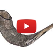 Shofar