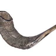 Shofar