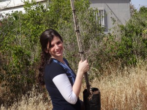 Plant Fruit Trees