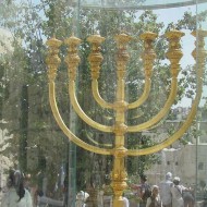 Living Torah