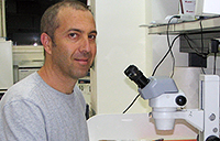 treatment of brain diseases
