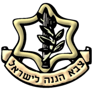 IDF soldiers