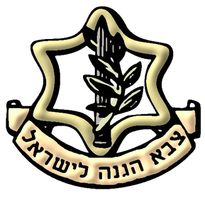IDF soldiers