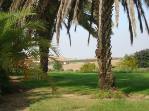 A kibbutz in southern Israel. (Photo: Atara Beck)