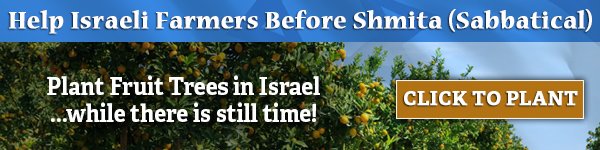 plant fruit trees in israel
