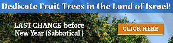 plant trees in israel