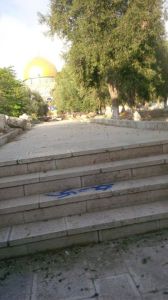 Hate graffiti on Temple Mount equating Israel with Nazism. (Photo: Meyer Beck/UWI)