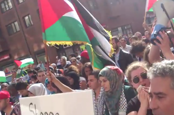 Anti Israel-Protest Malmo