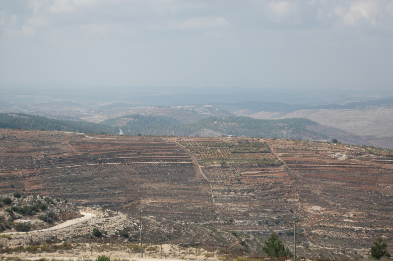 A view of the coast from Mitzpeh Ha'Elef. (Photo: Aryeh Savir/UWI)