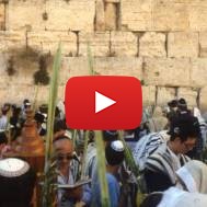 Western Wall Jerusalem Israel Sukkot Holiday