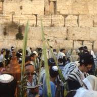Western Wall Jerusalem Israel Sukkot Holiday