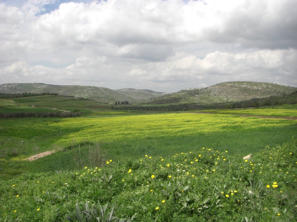 land of israel