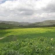 land of israel