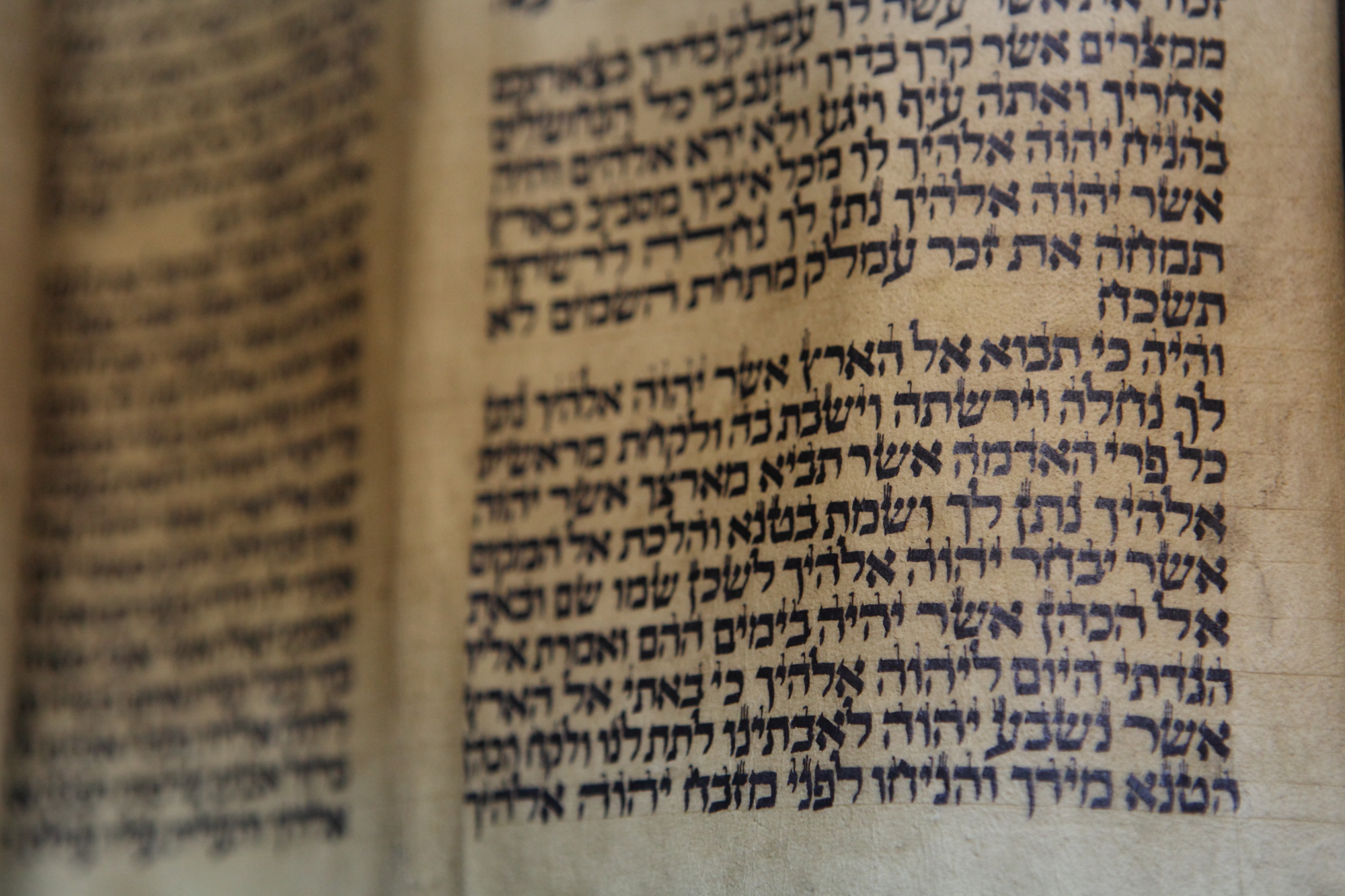 Torah Scroll