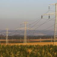 The Israel Electric Corporation is limiting the flow of electricity to the Palestinian Authority. (Photo by: Nati Shohat/Flash 90)