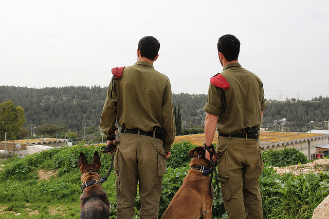 IDF canine IDF canine