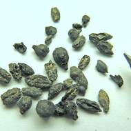 1,500 Year Old Charred Grape Seeds. (Media Relations/University of Haifa)