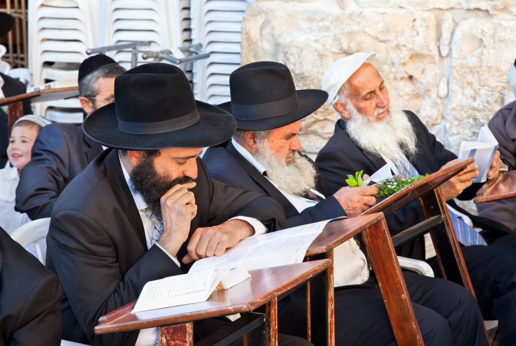 Religious Jewish men in Israel. (Aleksandar Todorovic/Shutterstock)