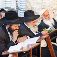 Religious Jewish men in Israel. (Aleksandar Todorovic/Shutterstock)