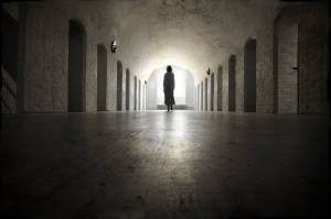 (Anki Hoglund/Shutterstock)