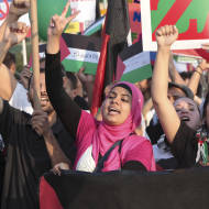 Anti-Israel BDS campaigns are on the rise. (A. Katz/Shutterstock)