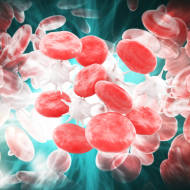 Good or bad white blood cells?