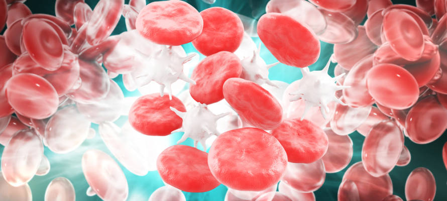 Good or bad white blood cells?