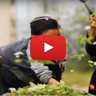 Children in Judea and Samaria