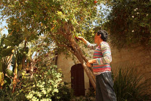 Yemin Moshe neighborhood, Jerusalem