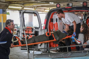Wounded Border Police officers are rushed to Shaare Zedek hospital after terror attack in Jerusalem on March 6, 2015. (Hadas Parush/Flash90)