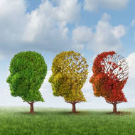 Brain disease