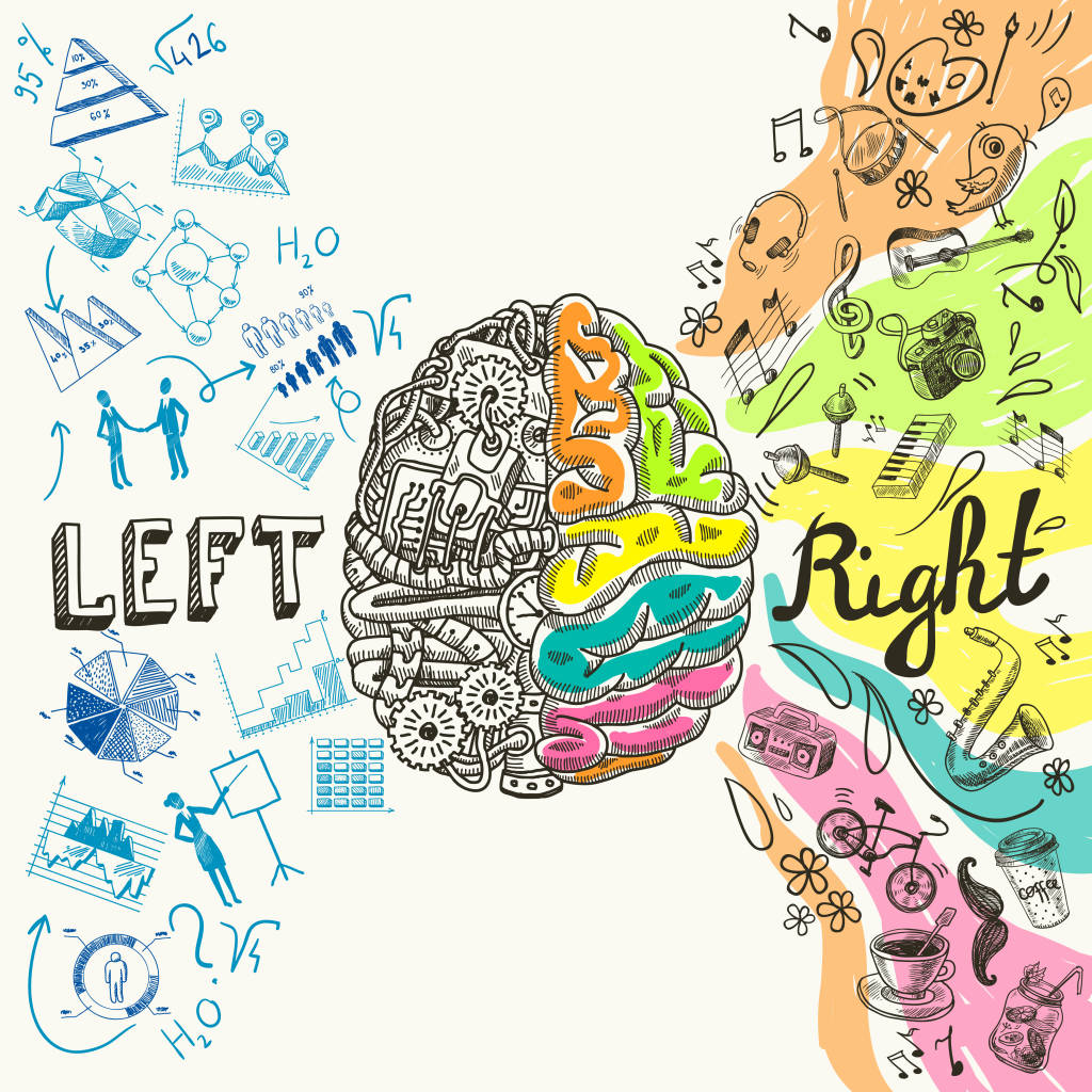 Israeli researchers aim to further explore the brain. (Shutterstock)