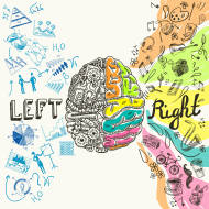 Israeli researchers aim to further explore the brain. (Shutterstock)