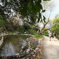 Hebrew University Botanical Gardens