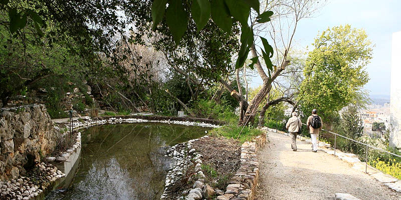 Hebrew University Botanical Gardens
