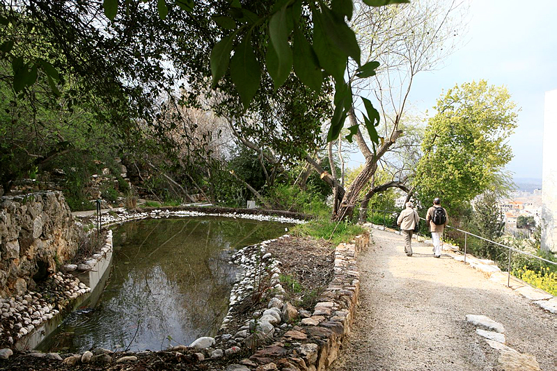 Hebrew University Botanical Gardens