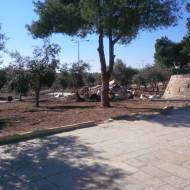 Garbage on Temple Mount
