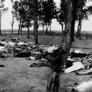 Armenian genocide
