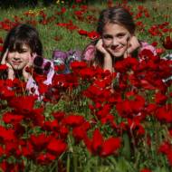 Israelis seen enjoying the blooming of Anemone flowers