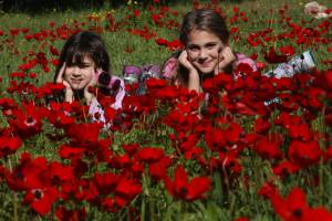 Israelíes visto disfrutando de la floración de las flores de la anémona