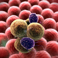 Cancer cells