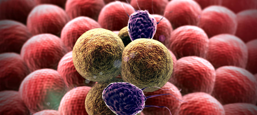 Cancer cells