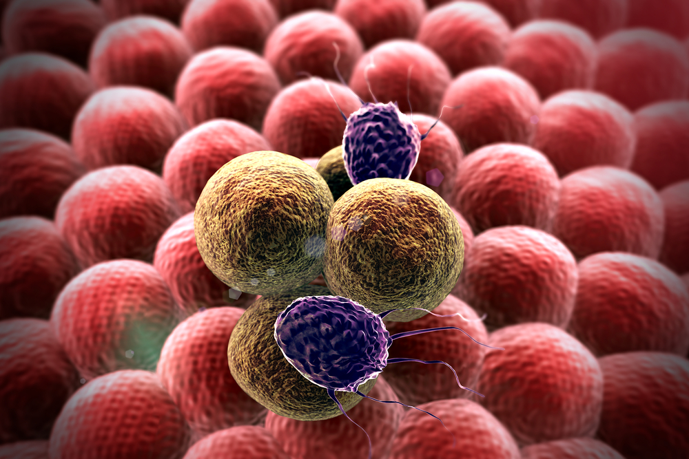 Cancer cells