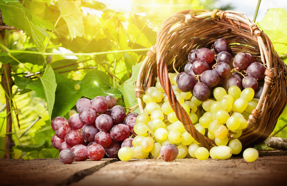 Israeli grapes.