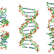 DNA