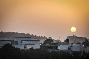 Israel Museum