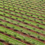 Agritech 2015